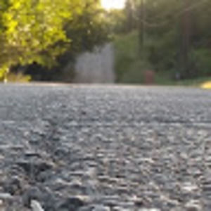 Meet your Posher, Monroe jr.